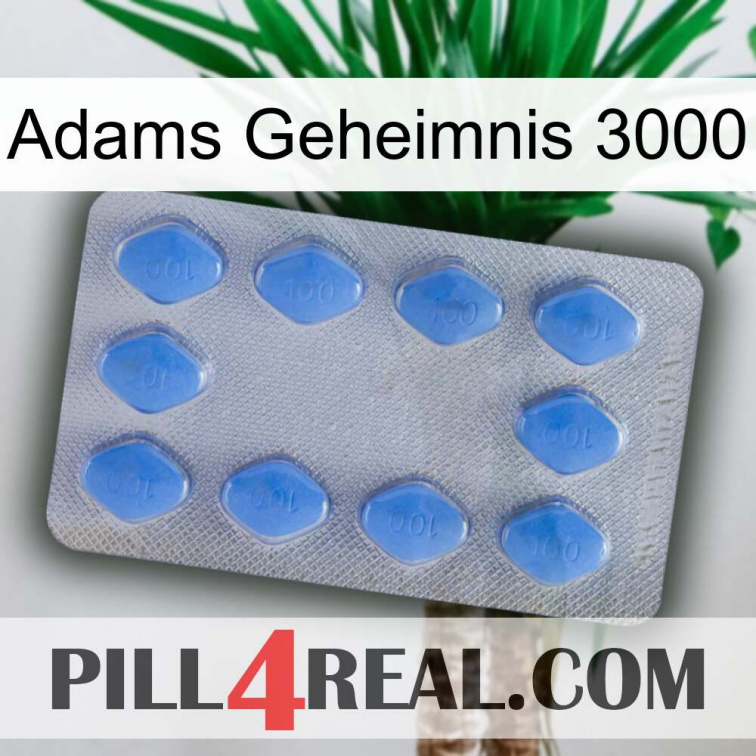 Adams Secret 3000 21